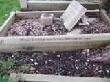 image of grave number 439277